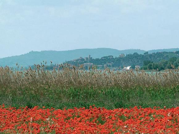 Passignano &#8211; Poggio Belveduto