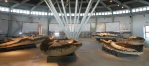 Piegaro - Museo Paleontologico "L. Boldrini"
